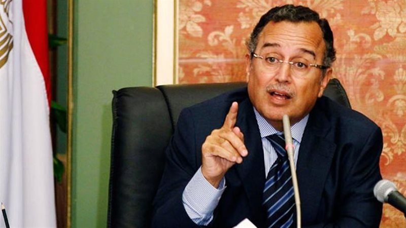  نبيل فهمي وزير الخارجية