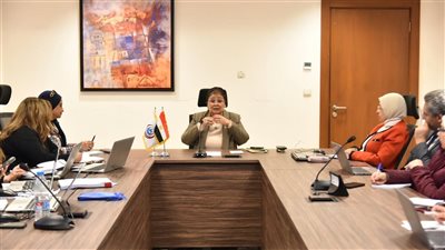 نائب وزير الصحة تتابع مستهدفات التعاون مع مركز معلومات الوزراء لتعزيز صحة الأم والطفل