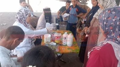 تحصين 165 ألف طائر متنوع ضد إنفلونزا الطيور بكفرالشيخ