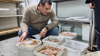 مصادرة 626 كيلو لحوم ودواجن وأسماك مدخنة غير صالحة بالغربية