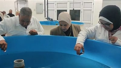   المعهد القومي لعلوم البحار يحقق أول تفريخ صناعي لأسماك البوري في مصر