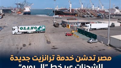 ميناء دمياط يطلق خدمة ترانزيت للشحنات المبردة والدولية إلى الخليج
