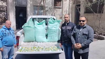 ضبط عدد ٩٧ بطاقة تموينية  ودقيق مدعوم في حملة علي المخابز بالأسكندرية 