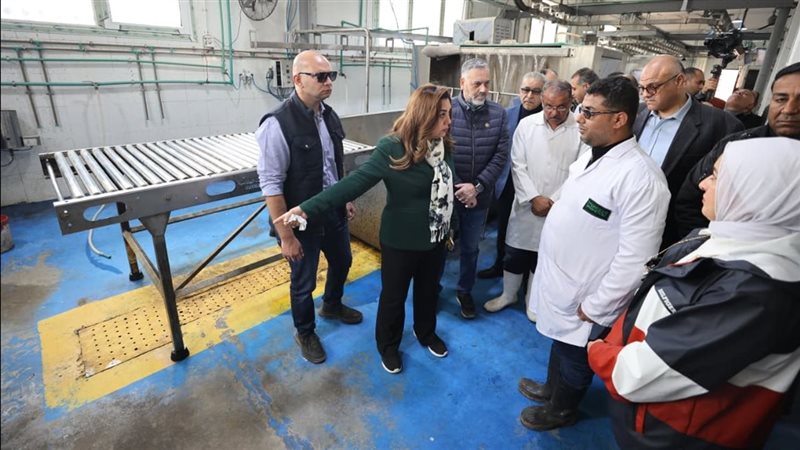 وزيرة التنمية المحلية