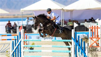 وزير الشباب والرياضة يشيد ببطولة كأس مصر للفروسية والتنظيم المتميز