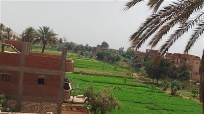 سوهاج في صباح متناقض.. حرارة الصيف تحت غطاء سحابي كثيف لا يسمن مطرًا