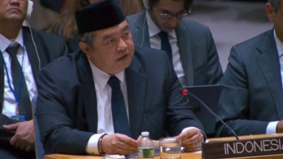 السفير الإندونيسي: لا يمكننا قبول القتل الجماعي لقوات حفظ السلام