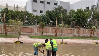 جهاز مدينة بني سويف الجديدة يواجه موجة التقلبات الجوية بمجهودات مكثفة