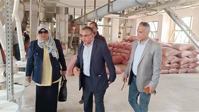 جولات ميدانية مفاجئة لتموين الوادي الجديد لضمان جودة السلع