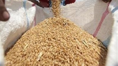 غرفة الحبوب: رفع سعر القمح المحلي إلى 2500 جنيه يعزز التوريد ويخدم الفلاح