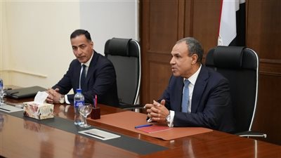 وزير الخارجية يؤكد التزام مصر بتقديم أقصى درجات الرعاية للمصريين بالخارج
