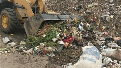  الإسماعيلية تعزز خدمات النظافة والإنارة بجهود مكثفة خلال الأسبوع الماضي