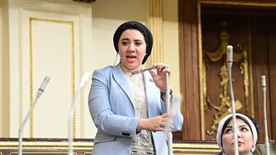 رئيس الشيوخ يهنئ النائبة أميرة صابر لاختيارها رئيسةً لأول شبكة لشباب البرلمانيين الخاصة بصندوق النقد 