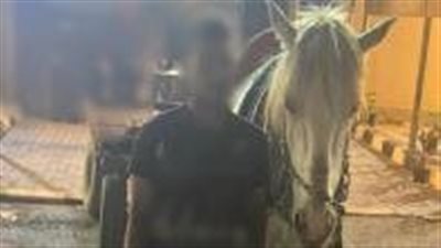كشف ملابسات تداول فيديو قيام شخص بالتعدى بالضرب باستخدام 