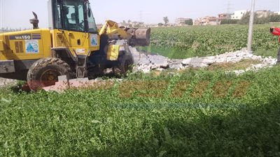 إزالة فورية للتعديات علي الأراضي الزراعية  بكفرالشيخ