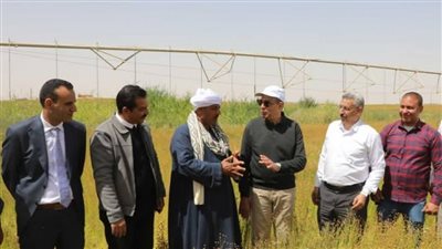 الذهب الأخضر لأول مرة في المنيا.. كدواني يشهد حصاد 600 فدان كتان بأبو قرقاص