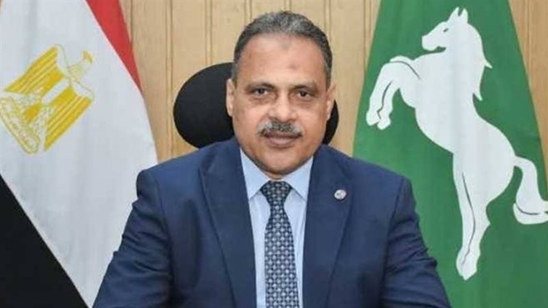 محافظ الشرقية المهندس
