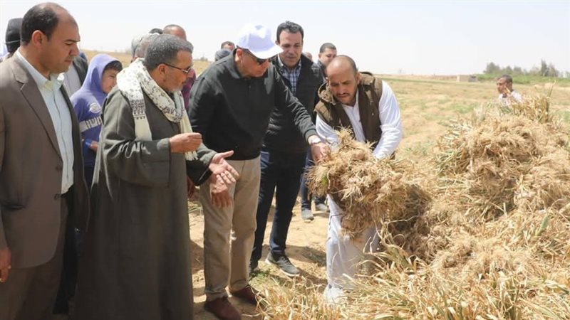 محافظ المنيا يشهد