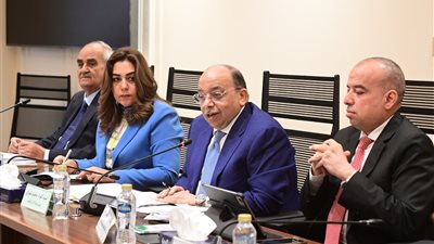 لجان عمل بين البرلمان والحكومة للوصول إلى مشروع قانون للإدارة المحلية متوافق عليه 