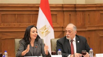  مايا مرسي تستعرض جهود الوزارة والهلال الأحمر المصري لدعم الشعب الفلسطيني أمام مجلس الشيوخ 