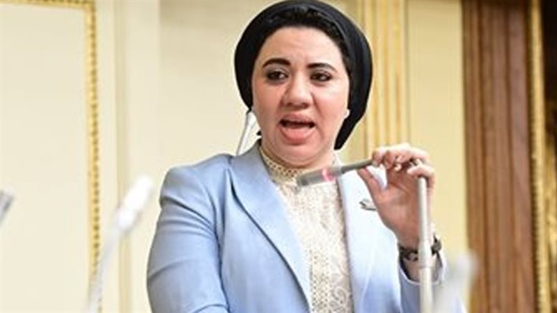 النائبة أميرة صابر