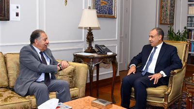 وزير الخارجية يستقبل رئيس لجنة الشئون الأفريقية لمناقشة تعزيز التعاون المصري بالقارة