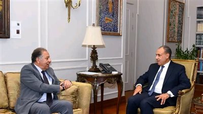 وزير الخارجية يستقبل رئيس لجنة الشئون الأفريقية بمجلس النواب