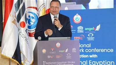 الرقابة الصحية تنظم ورشة عمل حول تعزيز التميز في وحدات السكتة الدماغية في مصر