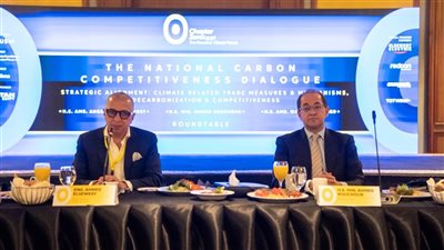 وزير المالية: نتحرك بقوة لرفع كفاءة استخدام الطاقة بالاقتصاد المصري والتوسع في الطاقات الجديدة والمتجددة