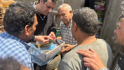 قبل أعياد الربيع.. ضبط 3 أطنان رنجة ولحوم غير صالحة للاستهلاك في الغربية