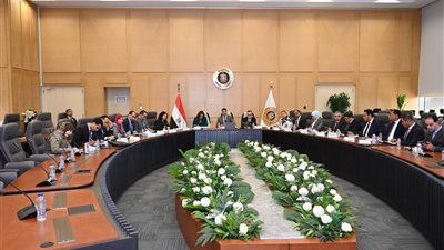 تنسيق حكومي لتنفيذ مشروع القرى المنتجة ودعم فرص العمل بالريف المصري