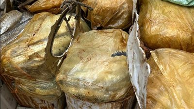 ضبط أكثر من 5 أطنان أغذية غير صالحة خلال حملات بيطرية مكثفة بأسيوط