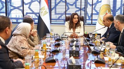 منال عوض: إنتاج الوقود الحيوي من مخلفات المجازر الحيوانيّة وزيوت الطعام المستعملة