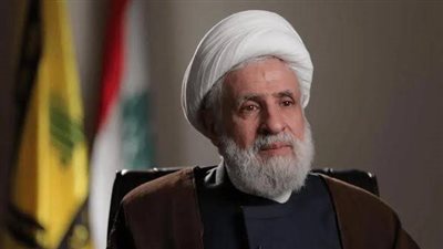 أمين حزب الله: المقاومة مستمرة وندعو المسئولين إلى إيقاف التنازلات المجانية