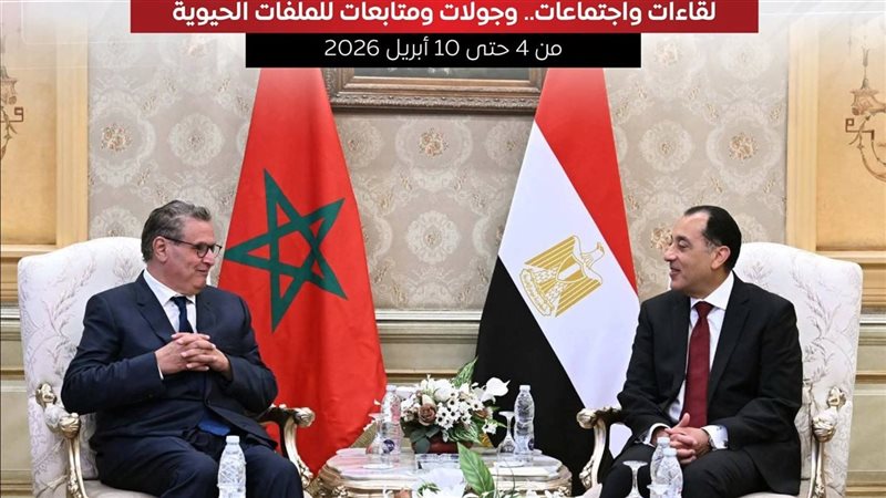 لقاء رئيس الوزراء