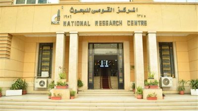القومي للبحوث: ترشيد استهلاك الأسمدة يعزز جودة المحصول ويقلل التكاليف 