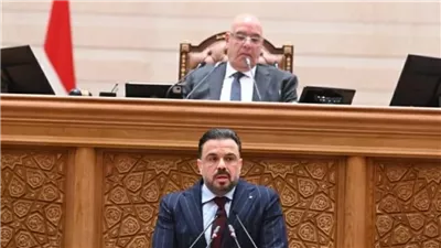 رئيس شباب النواب : الوحدة الوطنية صخرة قوية تتحطم عليها مؤامرات أعداء الوطن