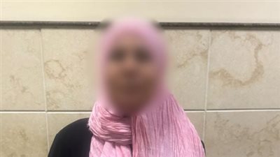 الأمن يكشف زيف ادعاءات سيدة عن احتجاز وقتل طفلتين بالبحيرة