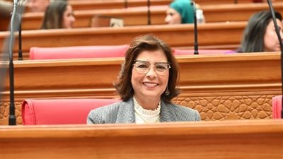  رئيسة تضامن النواب: توجيهات السيسي بشأن قوانين الأسرة تعكس حرصًا على حماية المجتمع ومواجهة العنف الأسري 