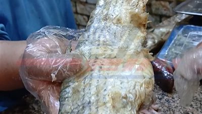 رغم ارتفاع الأسعار.. إقبال كبير على شراء الفسيخ والرنجة بالمنيا في شم النسيم
