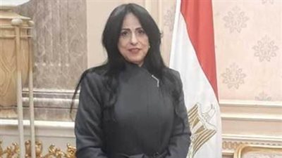 النائبة ميرال الهريدي: توجيهات الرئيس بشأن قوانين الأسرة طوق نجاة للمجتمع وخطوة لترسيخ العدالة الاجتماعية