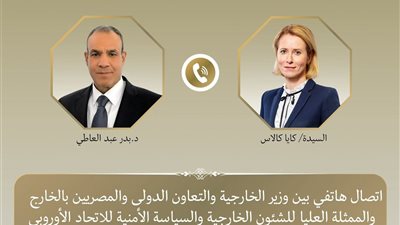 وزير الخارجية يبحث مع مسؤولة أوروبية خفض التصعيد وتعزيز التنسيق الإقليمي والدولي