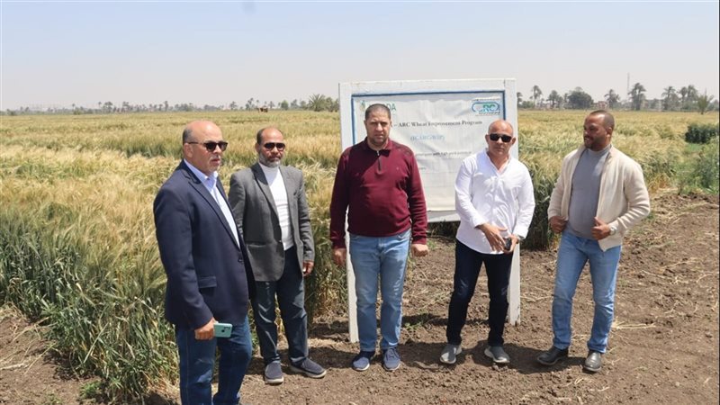 سكرتير بنى سويف يتفقد