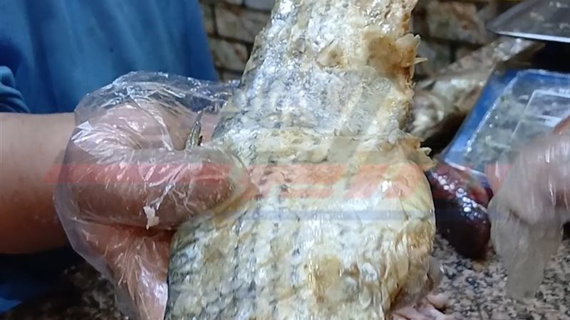 عقبال علي شراء الفسيخ