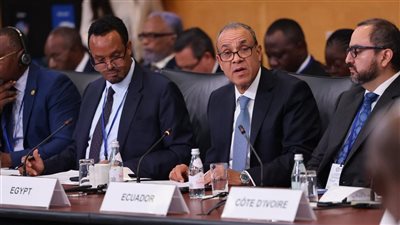 وزير الخارجية يدعو لإصلاح النظام المالي العالمي 
