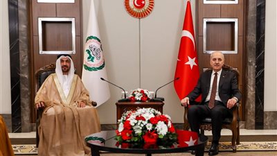 البرلمان العربي والجمعية الوطنية التركية يبحثان تعزيز التعاون البرلماني ودعم القضية الفلسطينية