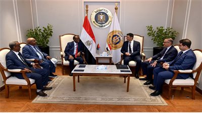 مصر وإريتريا تبحثان تعزيز التعاون في الكهرباء والطاقة المتجددة ونقل الخبرات الفنية