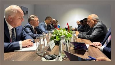 وزير الكهرباء يبحث مع 