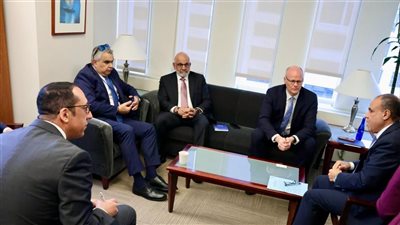 وزير الخارجية يؤكد ثوابت الموقف المصري من القضية الفلسطينية ويبحث دعم إعادة إعمار غزة