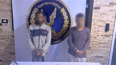 ضبط متهم بسرقة أسلاك كهربائية من لافتة محل بالقاهرة وإحالة الواقعة للنيابة